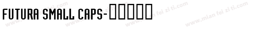 futura small caps字体转换